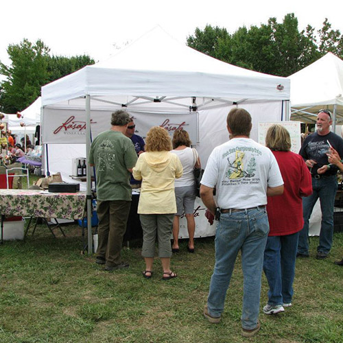 Illinois Wine and Art Festival